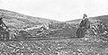 Thumbnail for version as of 19:00, 13 December 2008
