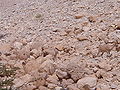 Thumbnail for version as of 20:58, 13 November 2007