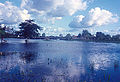 Thumbnail for version as of 20:52, 21 June 2007