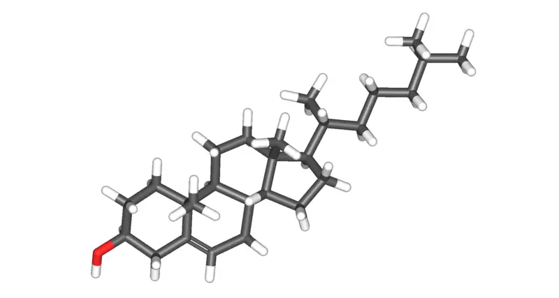 File:Cholesterol-3d.png