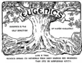 Thumbnail for version as of 00:37, 25 January 2007