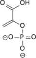 Thumbnail for version as of 21:45, 17 May 2008