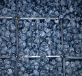 Thumbnail for version as of 03:15, 3 December 2007