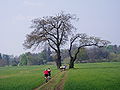 Thumbnail for version as of 00:53, 14 July 2007