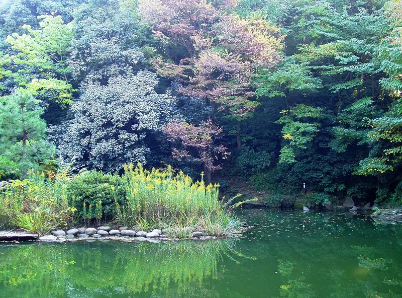 File:Sanshiro Pond, Tokyo University.JPG
