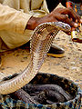 Thumbnail for version as of 02:32, 6 December 2007