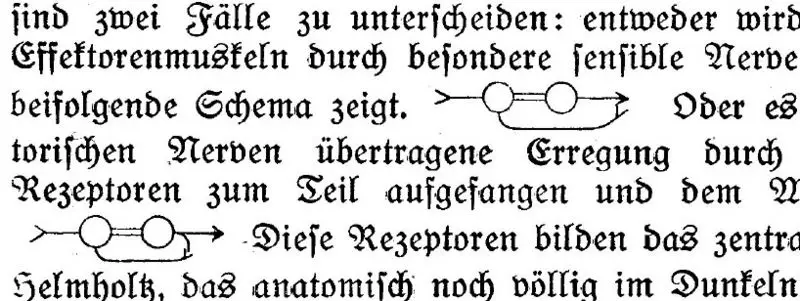 File:Uexkülls schemas small.jpg