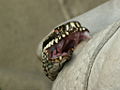 Thumbnail for version as of 21:31, 13 December 2007