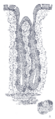 Thumbnail for version as of 01:50, 15 July 2007