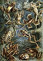 Thumbnail for version as of 20:01, 21 October 2007