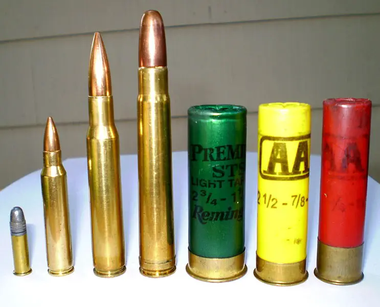File:P9090005.jpg