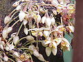 Thumbnail for version as of 23:54, 18 October 2007