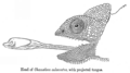 Thumbnail for version as of 17:19, 15 November 2007