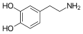 Thumbnail for version as of 20:57, 4 June 2026
