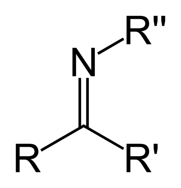 File:Imine-(secondary)-skeletal.png