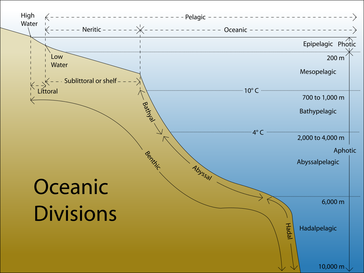 FileOceanic divisions.svg New World Encyclopedia