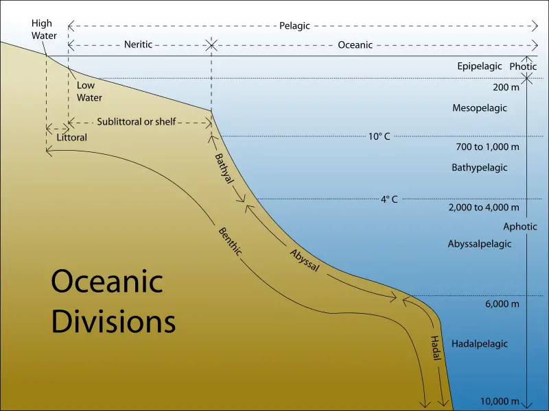 File:Oceanic divisions.svg