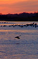 Thumbnail for version as of 17:42, 14 July 2008