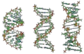 Thumbnail for version as of 06:16, 22 December 2007