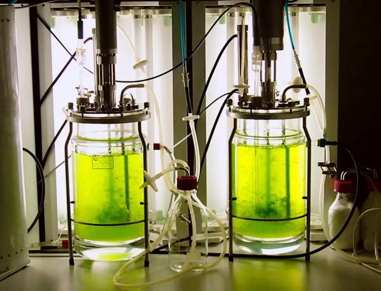 File:Bioreaktor quer2.jpg