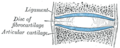 Thumbnail for version as of 00:31, 17 February 2009