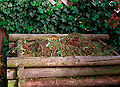 Thumbnail for version as of 17:08, 1 September 2007