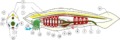 Thumbnail for version as of 02:14, 13 December 2006