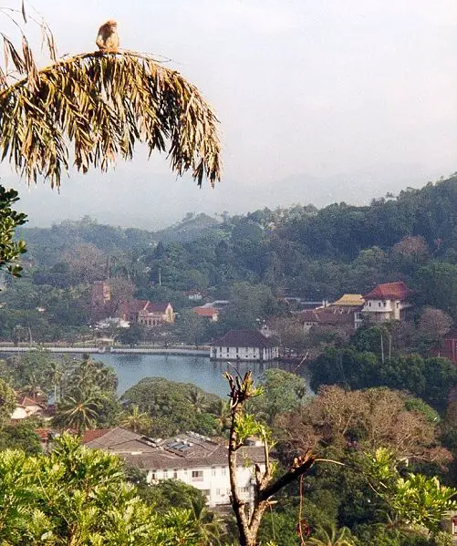 File:Srilanka kandy lake.jpg
