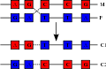Thumbnail for version as of 06:21, 22 December 2007