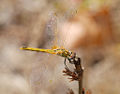 Thumbnail for version as of 12:24, 15 October 2007