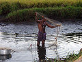 Thumbnail for version as of 15:44, 28 November 2007