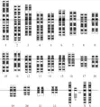 Thumbnail for version as of 15:13, 8 July 2006