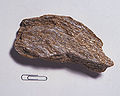 Thumbnail for version as of 02:56, 6 March 2007