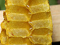 Thumbnail for version as of 13:25, 14 June 2007