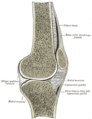 Thumbnail for version as of 00:14, 17 December 2007