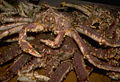Thumbnail for version as of 17:02, 20 October 2008