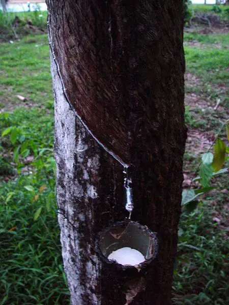 File:Latex dripping.JPG