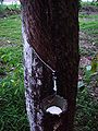 Thumbnail for version as of 07:47, 22 December 2006