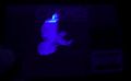 Thumbnail for version as of 20:49, 8 January 2007