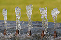 Thumbnail for version as of 22:54, 9 January 2009