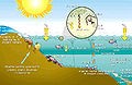 Thumbnail for version as of 23:19, 13 May 2006