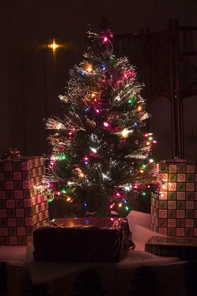 File:Fiber-optic Christmas tree.jpg