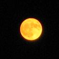 Moon-large,yellow.jpg