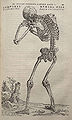 Thumbnail for version as of 21:19, 16 December 2008