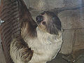 Thumbnail for version as of 00:44, 16 October 2008