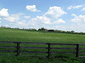 Thumbnail for version as of 03:05, 13 September 2008
