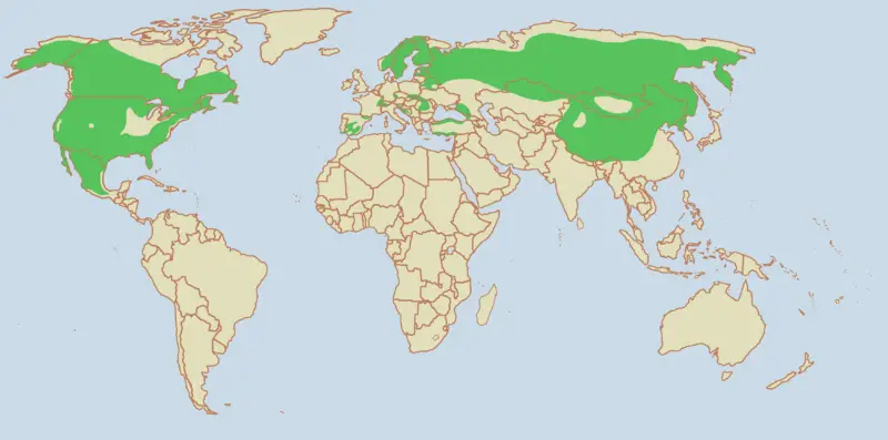File:Lynx range.png
