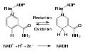 Thumbnail for version as of 23:07, 10 August 2008
