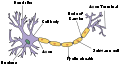Thumbnail for version as of 00:06, 19 January 2007