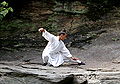 Thumbnail for version as of 19:22, 12 November 2008